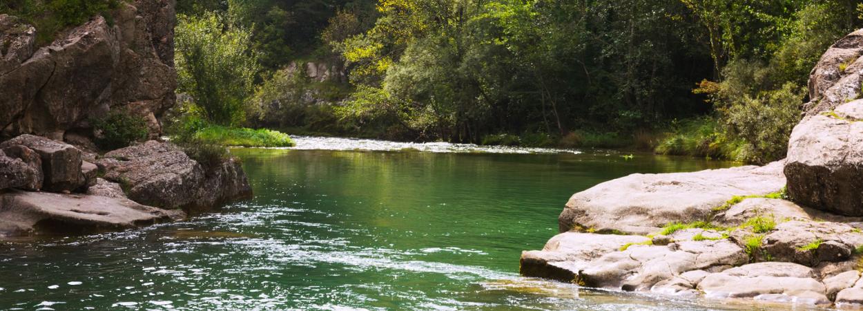 ¡El agua, un tesoro que debemos proteger!