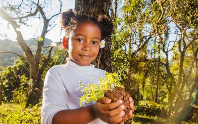 Proyecto "Huerta Educativa: Premiando la Creatividad Verde"