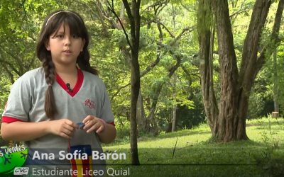 Uso de plásticos en Ecoparque Pance