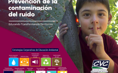 Estrategia educativa de ruido