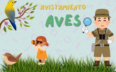 Avistamiento de aves
